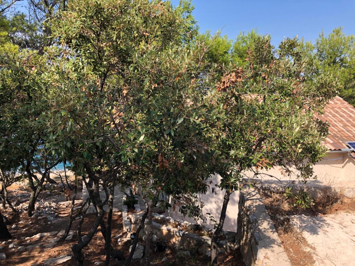 Hvar Island -enjoy Your Privacy By The Sea Holiday home Stari Grad (Hvar)